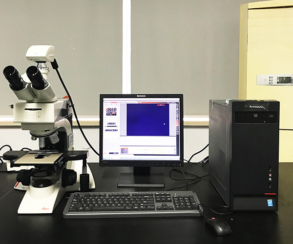 3. Metalloscope